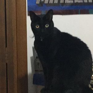 Meet your Posher, Lyn